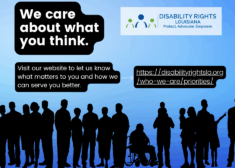 https://disabilityrightsla.org/who-we-are/priorities/